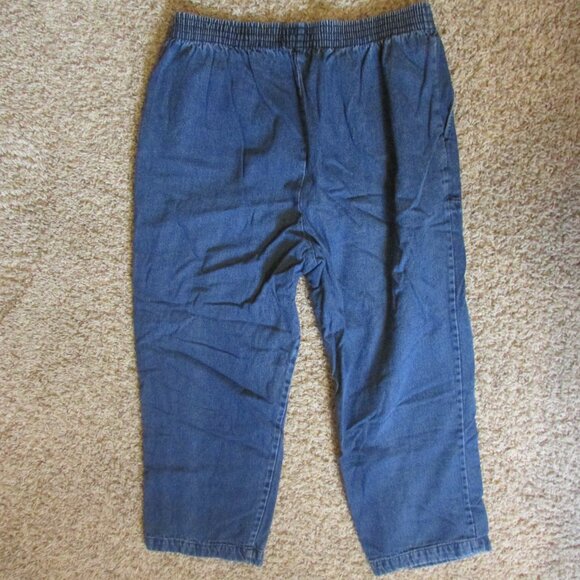 Haband 12 P Flannel Lined Pull On Elastic Waist Jeans Deep Front Pockets Warm - Picture 2 of 2